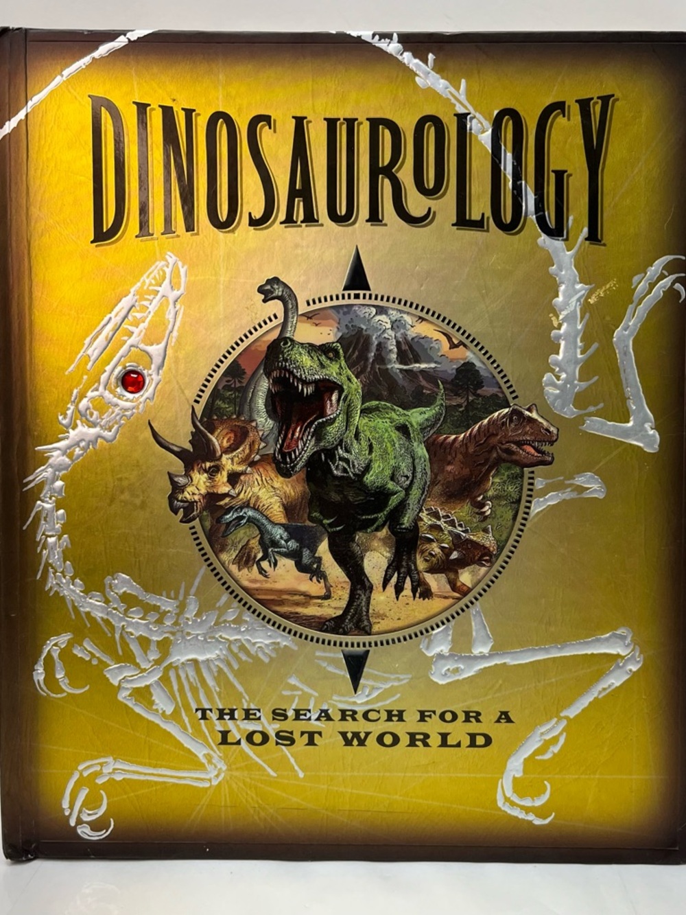 Dinosaur Designs Kids Wall Art Plate in Yellow, Green and Red